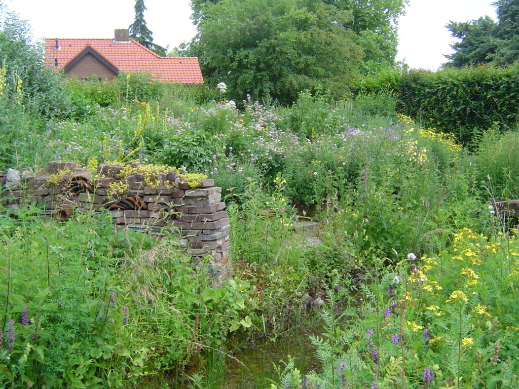 32. Nog een laatste blik op de vlinderheuvel